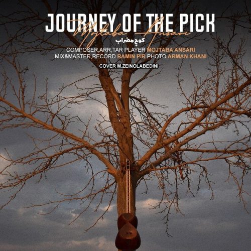 مجتبی انصاری - کوچ مضراب